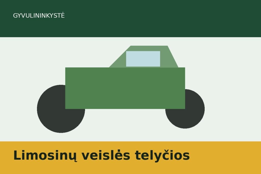 Limosinų veislės telyčios
